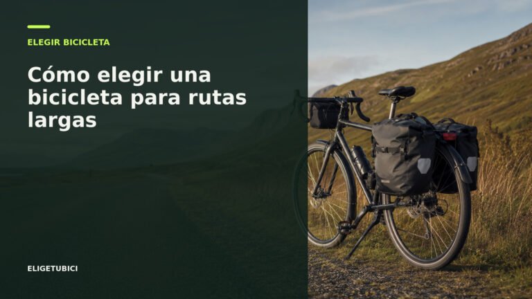 Bicicleta preparada para una ruta larga con bolsas y dos bidones