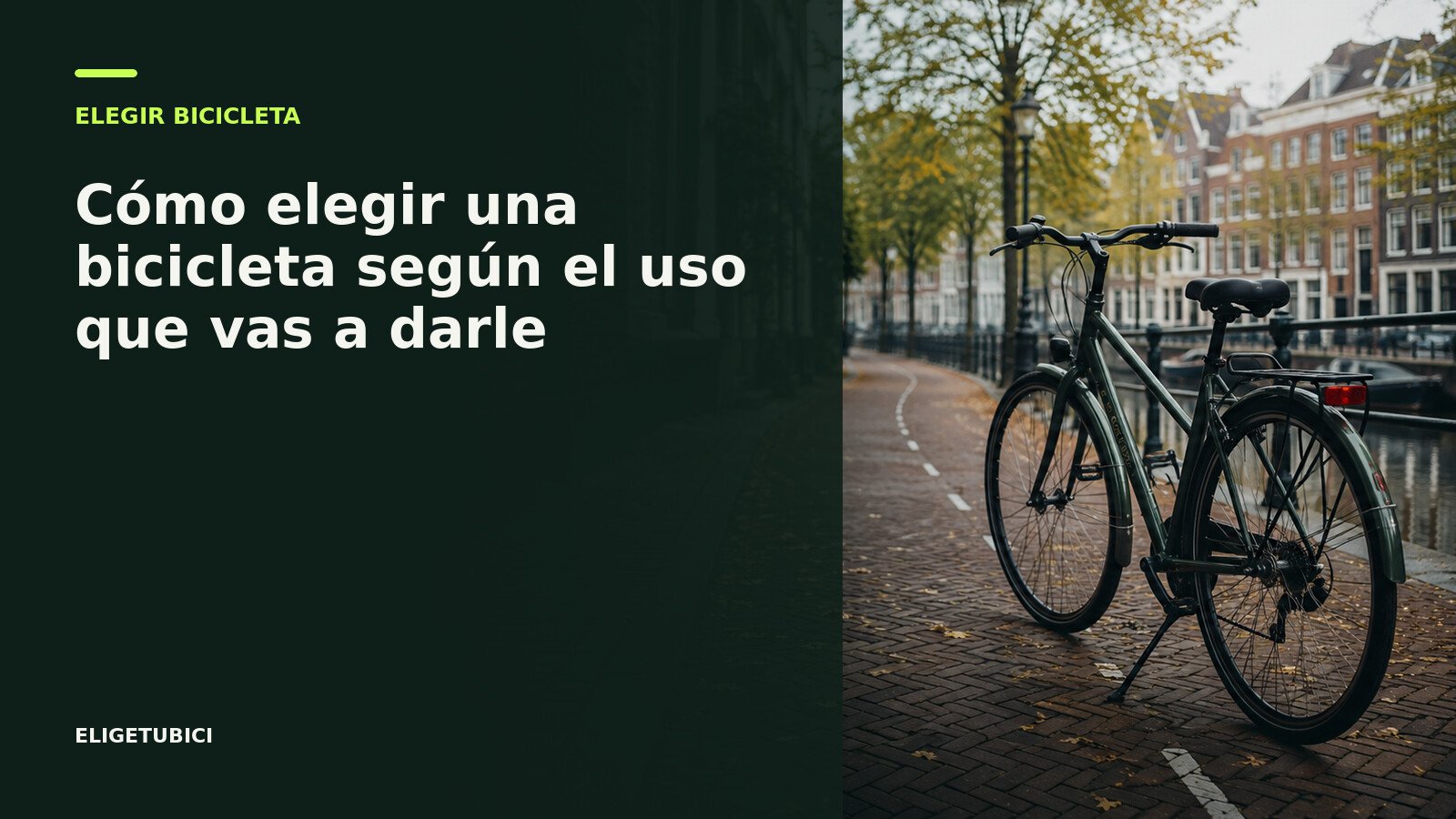 Bicicletas modernas para distintos usos sobre una pista forestal