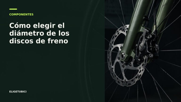 Discos de freno de bicicleta de varios diámetros junto a una rueda
