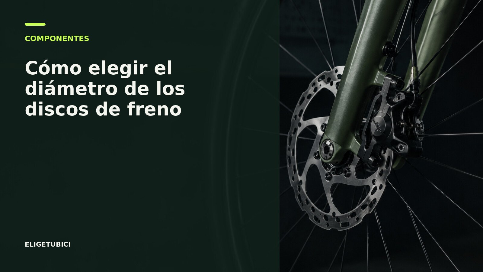 Discos de freno de bicicleta de varios diámetros junto a una rueda