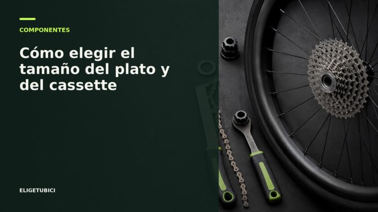 Platos y cassettes de diferentes tamaños para bicicleta