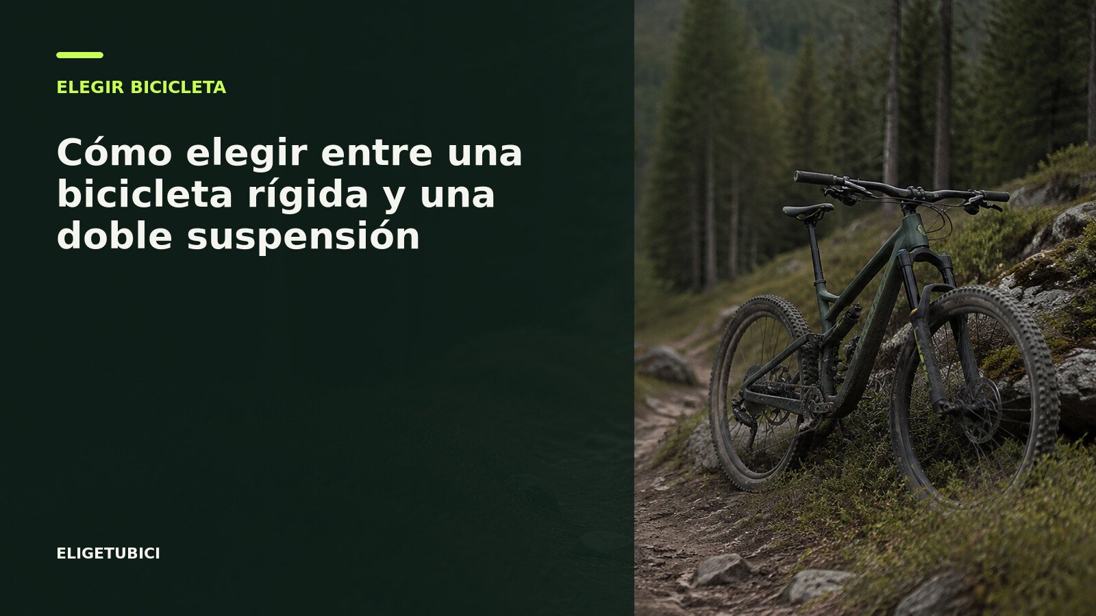 Bicicleta de montaña rígida y bicicleta de doble suspensión