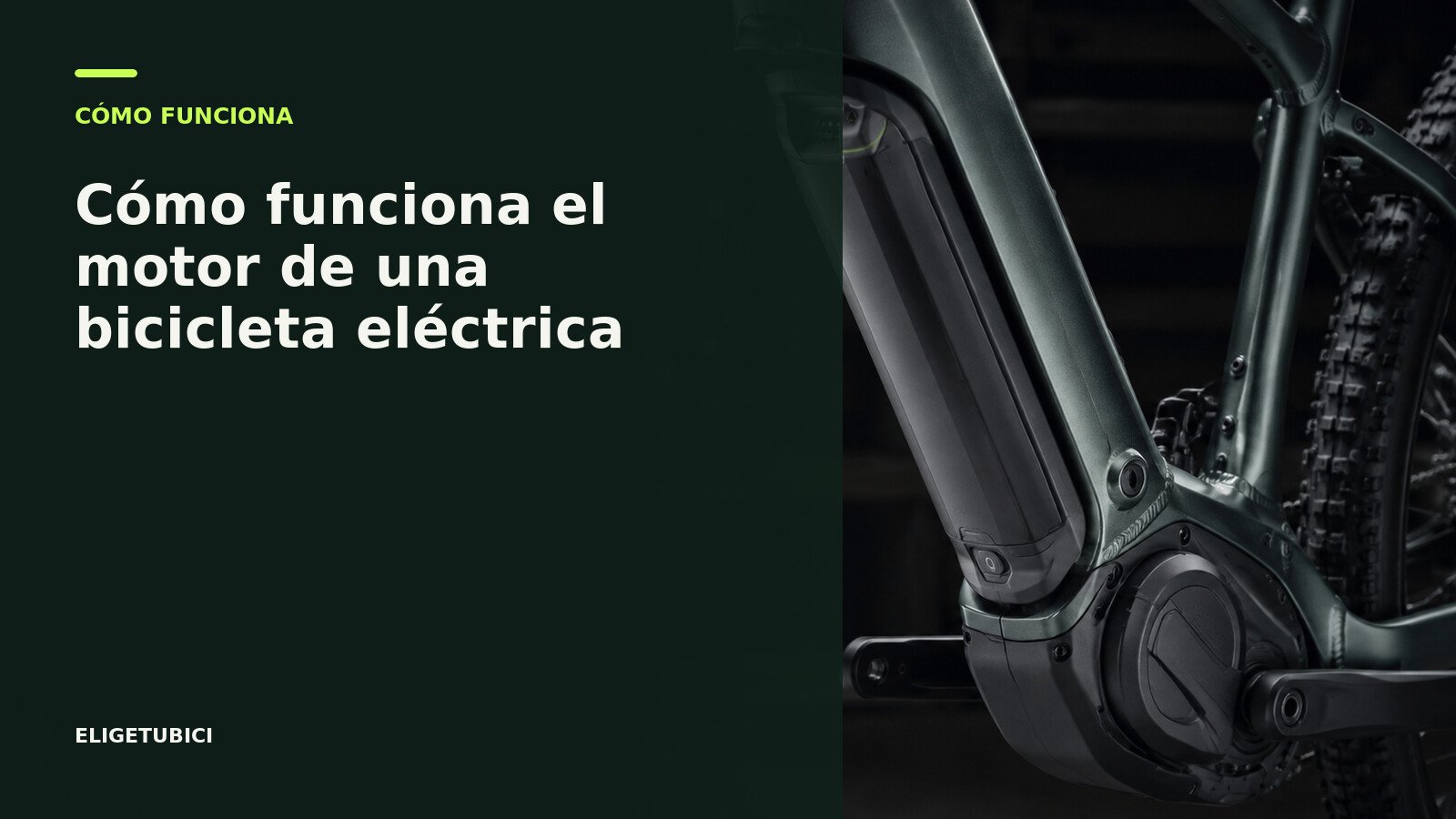 Detalle de un motor central de bicicleta eléctrica