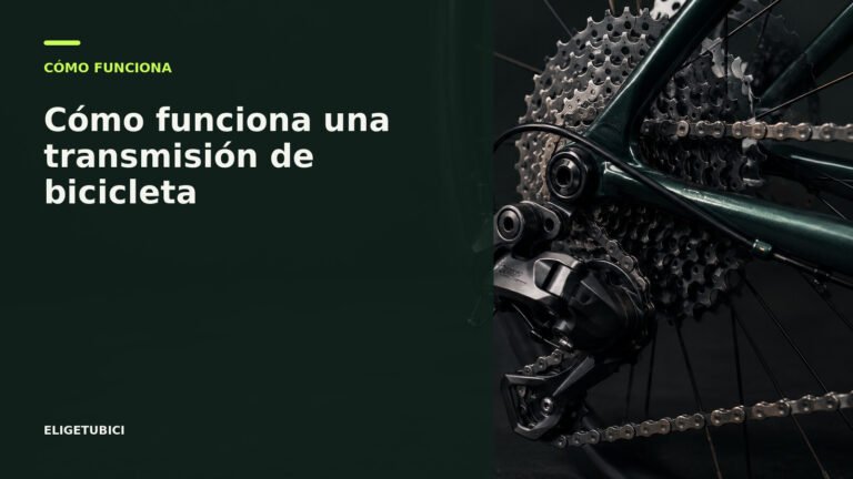 Detalle de una transmisión de bicicleta con plato, cadena, cassette y cambio