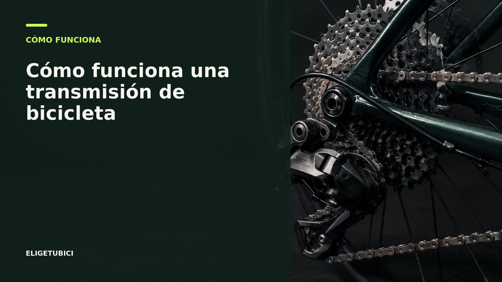 Detalle de una transmisión de bicicleta con plato, cadena, cassette y cambio